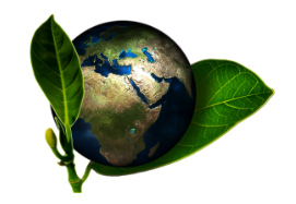 Planet Erde mit grünen blättern